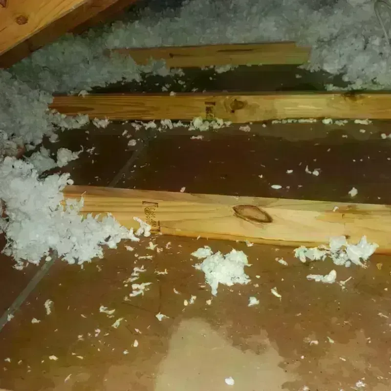 Attic Water Damage in Dayton, TX