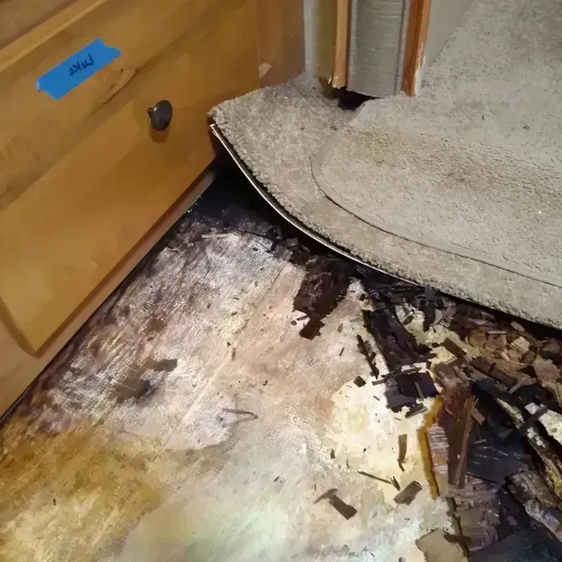 Wood Floor Water Damage in Dayton, TX